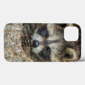Coques Case-Mate iPhone Raccon Nestled Inside a Tree Hollow (Verso (horizontal))