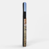 Coques Case-Mate iPhone Race du Texas Longhorn (photo) (Dos/Droite)