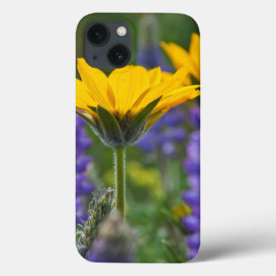 Etui iPhone 13 Racine de baume à feuilles de flèche et lupin en f