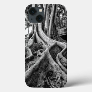 Etui iPhone 13 Racines massives d'hévéa