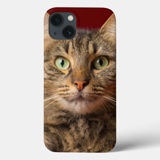 Coques Case-Mate iPhone Ragondin du Maine pour Noël avec le collecteur (Verso)