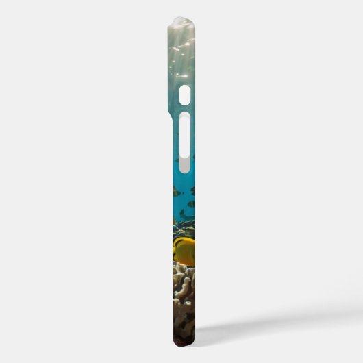 Coques Case-Mate iPhone Rainbow Reef Fish (Verso / Gauche)