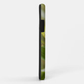 Coques Case-Mate iPhone Rainette Tapichalaca captive Hyloscirtus (Dos/Droite)