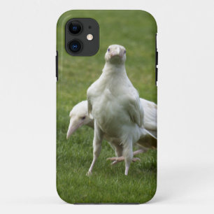 Case-Mate iPhone Case Rare corbeau blanc corneille oiseau sauvage