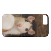 Coques Case-Mate iPhone Rat mignon (Dos (Horizontal))
