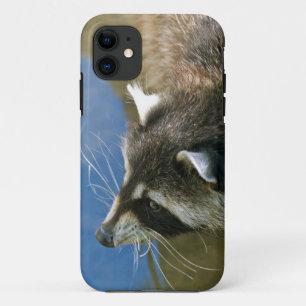 Coque Case-Mate Pour iPhone Raton laveur