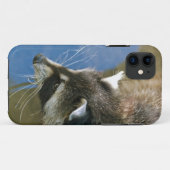 Coques Case-Mate iPhone Raton laveur (Dos (Horizontal))