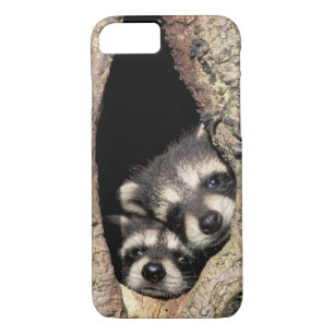Etui iPhone Case-Mate Ratons laveurs dans la cavité de l'arbre Procyon