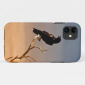 Coques Case-Mate iPhone Raven sur les branches d'arbre ensoleillées, (Dos (Horizontal))