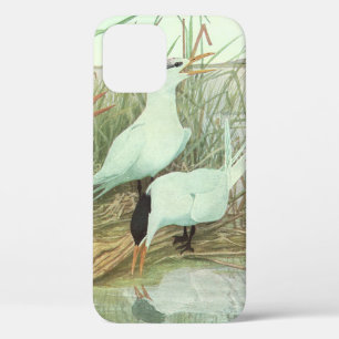 Coque iPhone 12 Raviers vintages dans un marais par Louis Fuertes