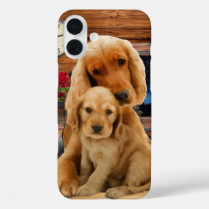 Coques iPhone 16 Plus Récupérateur Labrador