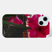 Coques Case-Mate iPhone Red Amaryllis et le lever du soleil d'hiver (Verso (horizontal))