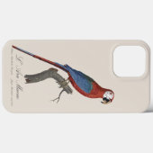 Coques Case-Mate iPhone Red-and-green Macaw, Ara chloropterus (Verso (horizontal))