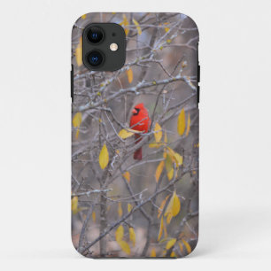 Case-Mate iPhone Case Red Cardinal Bird Automne Arbre Automne Téléphone