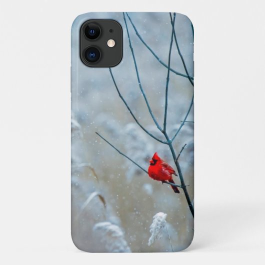 Coques Case-Mate iPhone Red Cardinal dans Winter Nature Photo de Christmas (Dos)