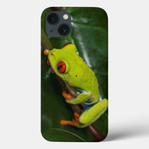 iPhone 13 Coque Red Eyes Frog On Stem