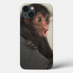 iPhone 13 Coque Red-faced Spider Monkey Ateles paniscus)