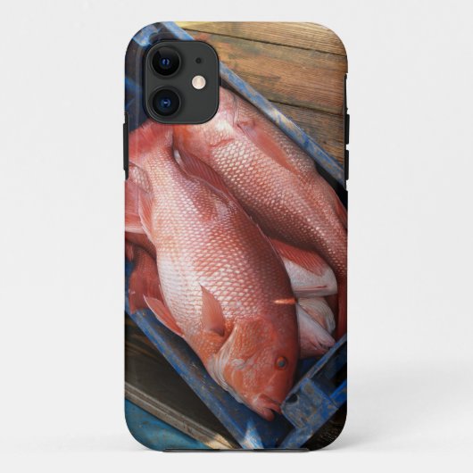 Coques Case-Mate iPhone Red Snapper Fish iPhone 5 (Dos)