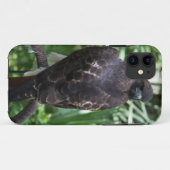 Coques Case-Mate iPhone Red Tail Hawk Bird (Dos (Horizontal))