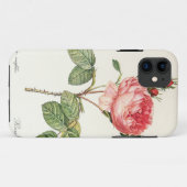Coques Case-Mate iPhone Redoute Rosa Centifolia (clair) (Dos (Horizontal))