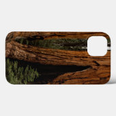 Coques Case-Mate iPhone Redwood Trees, Sequoia National Park. (Verso (horizontal))