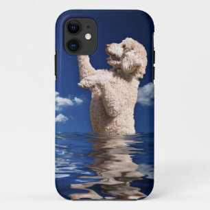 Coques Pour iPhone Réflexions de caniche standard