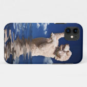 Coques Case-Mate iPhone Réflexions de caniche standard (Dos (Horizontal))