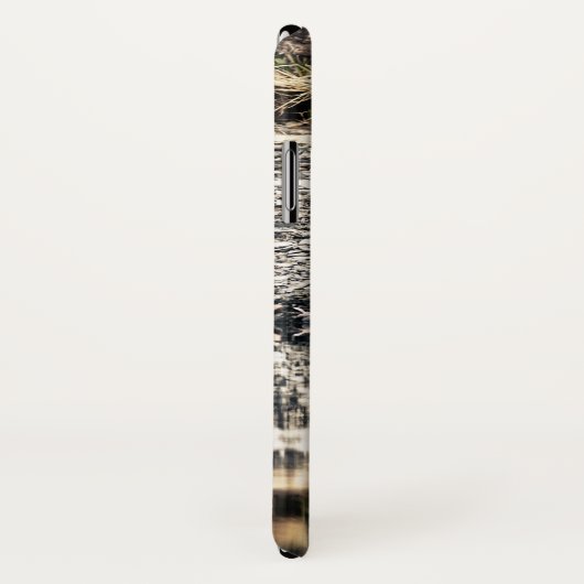 Coques Case-Mate iPhone Réflexions de l'ours noir (Dos/Droite)