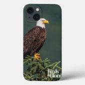Coques Case-Mate iPhone Regal Bald Eagle (Verso)
