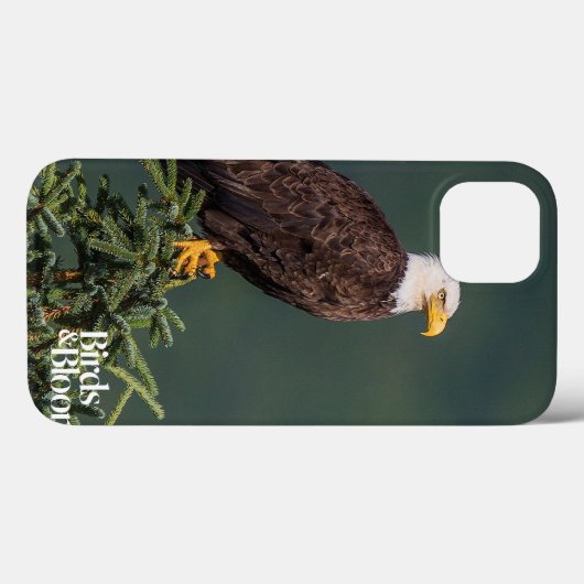 Coques Case-Mate iPhone Regal Bald Eagle (Verso (horizontal))