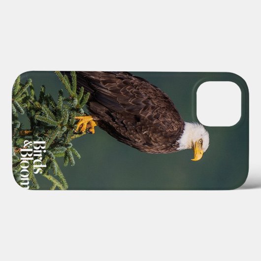 Coques Case-Mate iPhone Regal Bald Eagle (Verso (horizontal))
