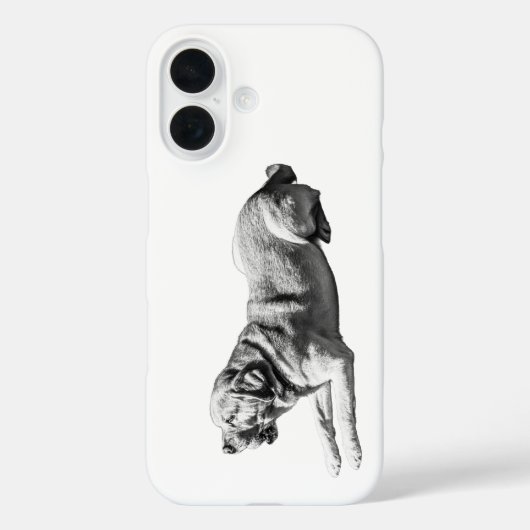 Coques Case-Mate iPhone Regard stable - Labrador Poise (Verso)