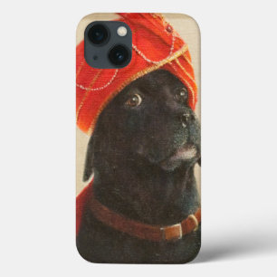 iPhone 13 Coque Reluctant Maharaja 2010