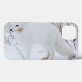 Coques Case-Mate iPhone Renard arctique (Verso (horizontal))