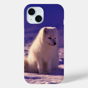 Coque Pour iPhone 15 Renard arctique