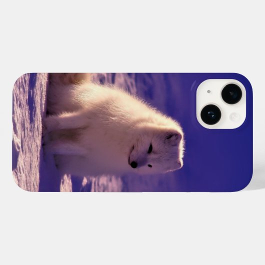 Coques Case-Mate iPhone Renard arctique (Verso (horizontal))