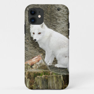 Coques Pour iPhone Renard arctique blanc