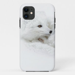Coque Case-Mate Pour iPhone Renard arctique recroquevillé en hiver