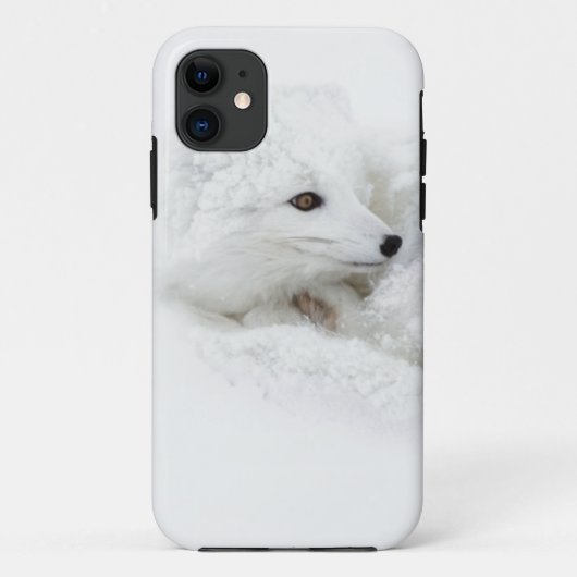 Coques Case-Mate iPhone Renard arctique recroquevillé en hiver (Dos)