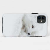 Coques Case-Mate iPhone Renard arctique recroquevillé en hiver (Dos (Horizontal))
