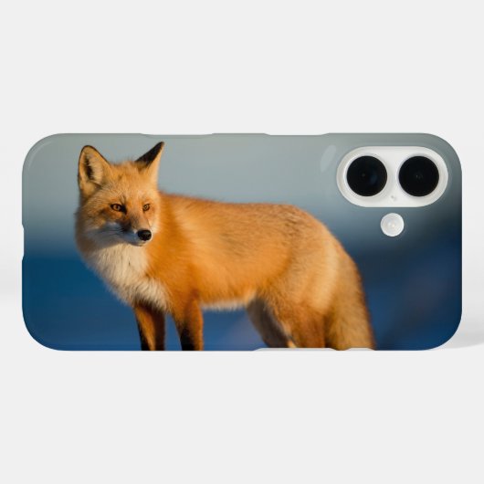Coques Case-Mate iPhone Renard Brun (Verso (horizontal))