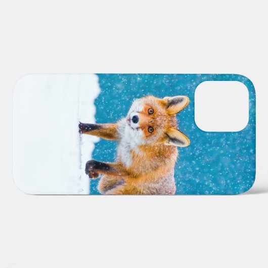 Coques Case-Mate iPhone Renard en hiver. Renard rouge, Vulpes vulpes, reni (Verso (horizontal))