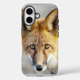 Coques iPhone 16 Renard rouge, gros plan