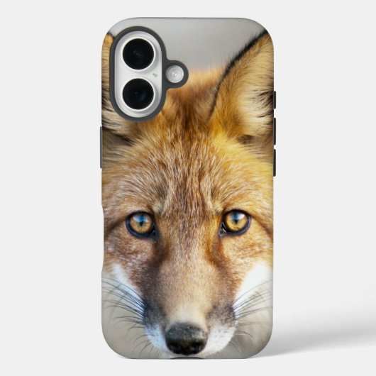 Coques Case-Mate iPhone Renard rouge, gros plan (Verso)