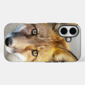 Coques Case-Mate iPhone Renard rouge, gros plan (Verso (horizontal))