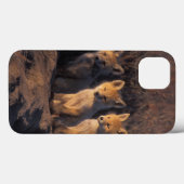 Coques Case-Mate iPhone renard rouge, vulpes de Vulpes, kits en dehors de (Verso (horizontal))