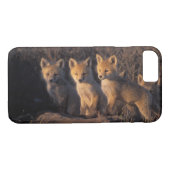 Coques Case-Mate iPhone renard rouge, Vulpes vulpes, kits (Dos (Horizontal))