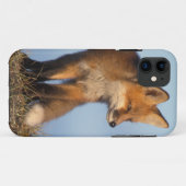 Coques Case-Mate iPhone renard roux, Vulpes vulpes (Dos (Horizontal))
