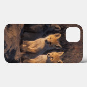 Coques Case-Mate iPhone renard roux, Vulpes vulpes, kits (Verso (horizontal))