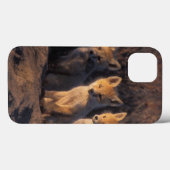Coques Case-Mate iPhone renard roux, Vulpes vulpes, kits (Verso (horizontal))
